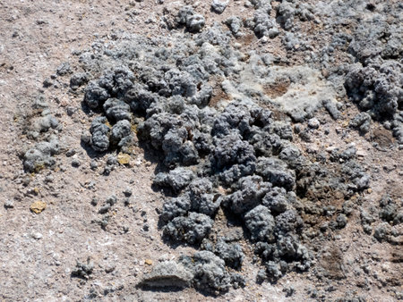 Poisonous sulfur close-up at the bottom of a volcano crater on the island of Nisyros in Greeceの写真素材