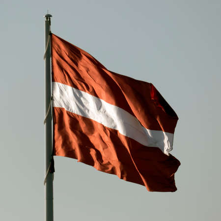 National flag of the Republic of Latvia. Red-white-red. The wind is waving a huge flag.の写真素材