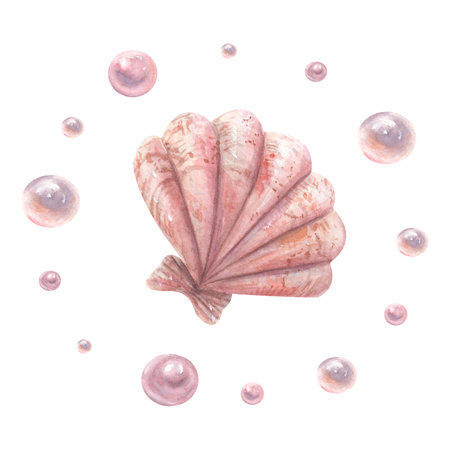Watercolor shell and pearls. Print on a marine theme in pink, pastel color.の写真素材