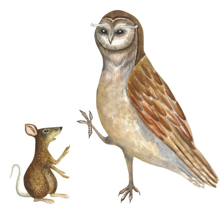 Watercolor illustration of an owl and rat, mouse.Composition isolated on white background hand drawn for decoration and design of souvenir productsの写真素材