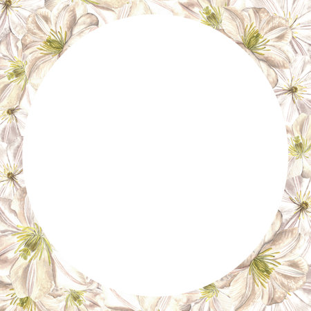 Watercolor illustration of clematis flowers. Round frame isolated on a white background made by handの写真素材