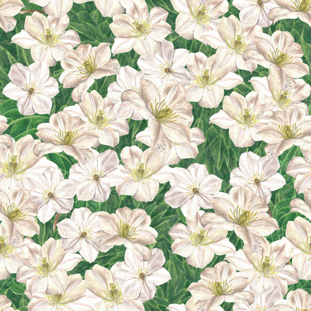 Watercolor illustration of clematis flowers. Seamless dense pattern made by handの写真素材