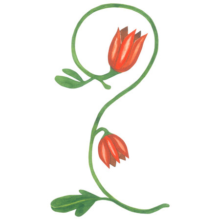 Watercolor illustration of a floral monogram in a medieval style. Made by hand isolated on white backgroundの写真素材