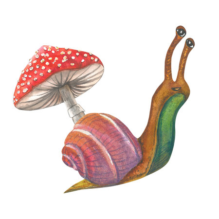 Watercolor illustration of snail and fly agaric. Composition made by hand isolated on white backgroundの写真素材