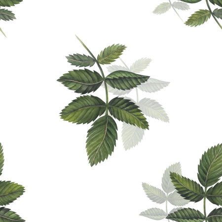 Rosehip branch watercolor illustration seamless pattern isolated on white background hand drawn. Green branchの写真素材