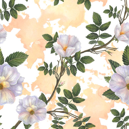 Flowers and branches with leaves rose hips. Seamless pattern on a watercolor background for fabric, textile, prints, designの写真素材