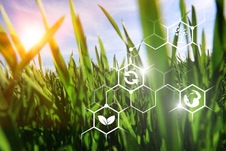 Green grass and ecology concept. Nature background. Elements of this image furnished by NASAの写真素材