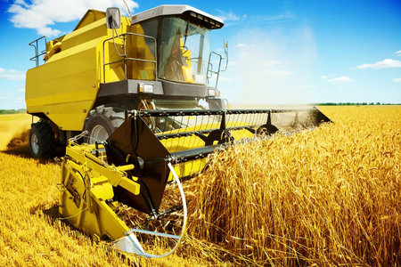Combine harvester working on wheat field. Harvesting conceptの写真素材