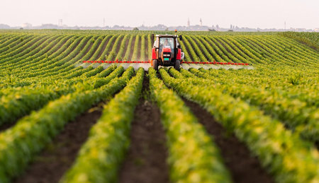 Tractor spraying pesticides on soybean field with sprayer at springの写真素材