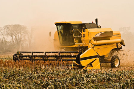 Combine harvester working on a corn field in autumn.