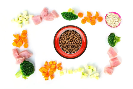 Dry pet food in bowl with vegetables and meat on white backgroundの写真素材