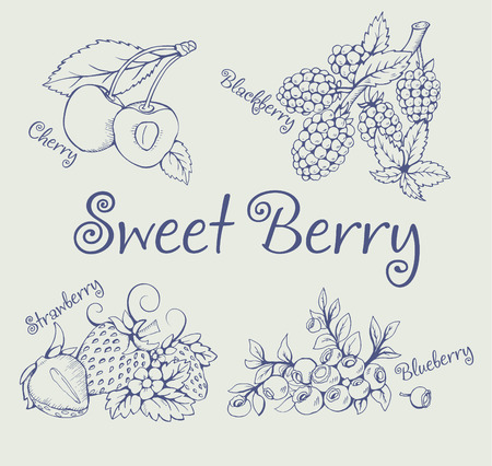 Set of blackberry, strawberry, blueberry, cherry. Pictures of the line. This sketch is made with pen and ink. It can be used on the packaging, printing, element menu or another printing productionのイラスト素材