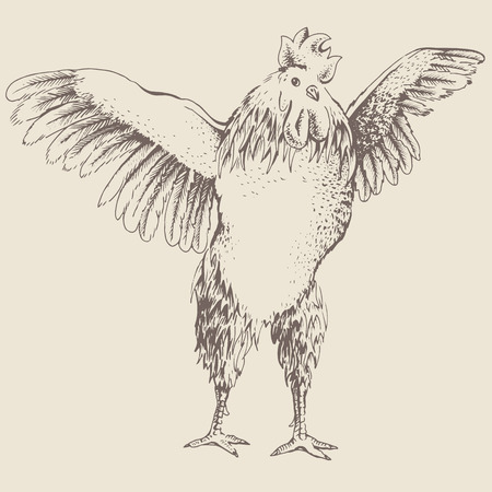 Illustration from the front rooster. Series of farm animals. Graphics, scetch, handmade drawing cock. Rooster wants to spread its wings and fly away. Vintage engraving style. Symbol New Year 2017のイラスト素材