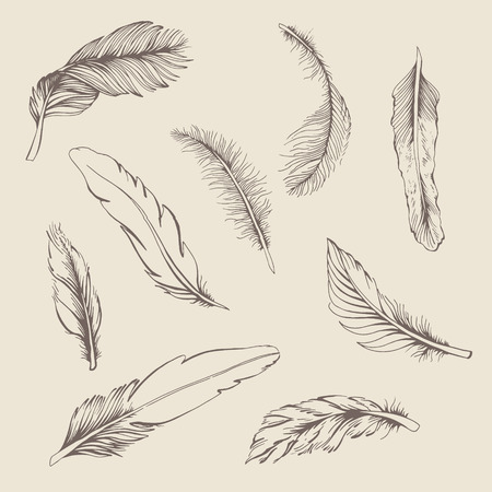 set of featherのイラスト素材