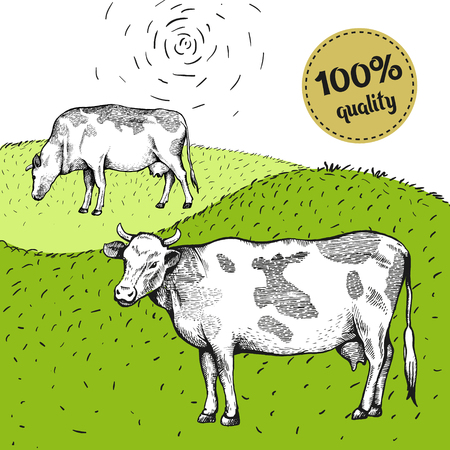 Two spotted cow is standing. View in profile. The drawing is drawn by hand with ink and a pen. Tracing. Bright stickerのイラスト素材