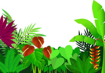 Forestのイラスト素材