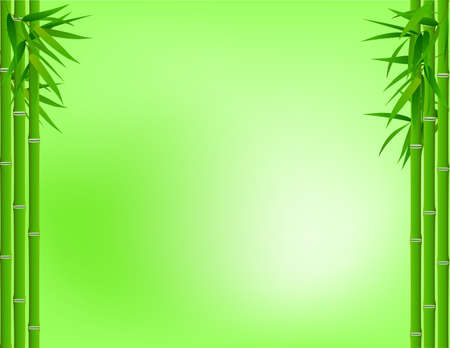 Bamboo tree frameのイラスト素材