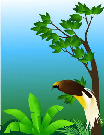 Tropical birdのイラスト素材