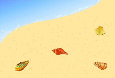 Sea shell and sandのイラスト素材