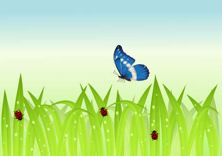 Grass in the morningのイラスト素材