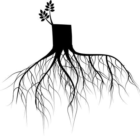 New branchのイラスト素材