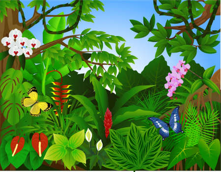 Beautiful tropical forest  illustrationのイラスト素材