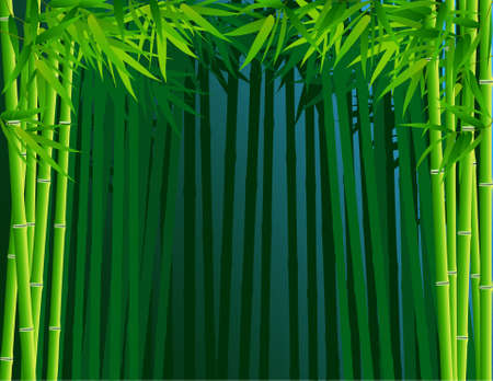 Bamboo forestのイラスト素材