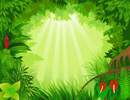 Tropical forest backgroundのイラスト素材