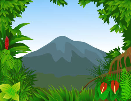 Forest backgroundのイラスト素材