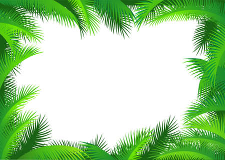 Palm leaf frameのイラスト素材