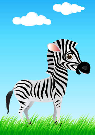Zebra cartoon in the wildのイラスト素材