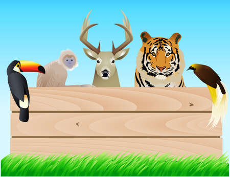 Animal and wood bannerのイラスト素材