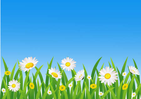 Green fieldのイラスト素材