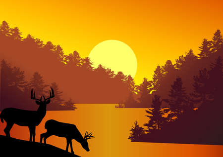 Deer silhouette in the natureのイラスト素材