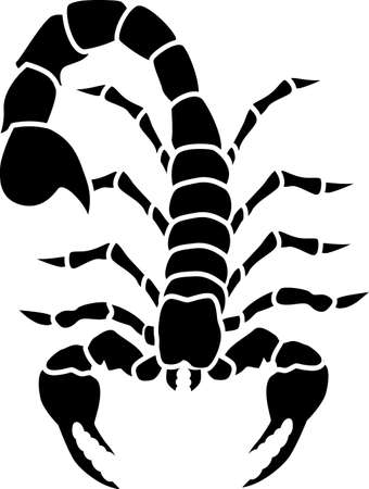Scorpion tattooのイラスト素材