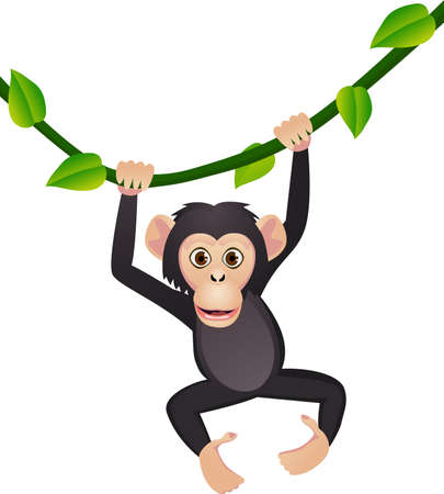 Chimpanzeeのイラスト素材
