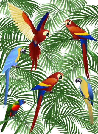 Parrot illustrationのイラスト素材