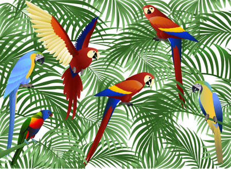 Parrot illustrationのイラスト素材