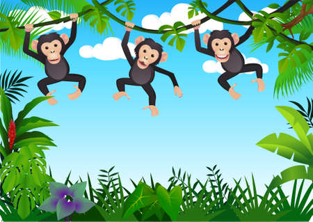 Three chimpanzeeのイラスト素材