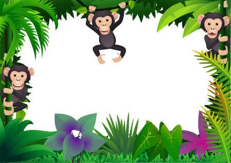 chimpanzee in the jungleのイラスト素材