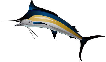 Marlin fishのイラスト素材