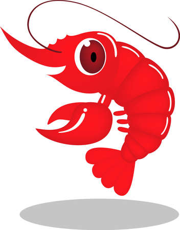 Prawn illustrationのイラスト素材