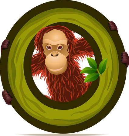 alphabet O with Orangutan cartoonのイラスト素材
