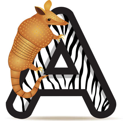 Alphabet A with Armadillo cartoonのイラスト素材