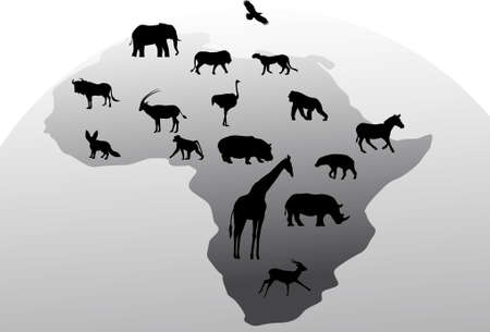 Animal Africaのイラスト素材