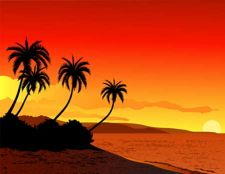 Beautiful tropical beach sunsetのイラスト素材
