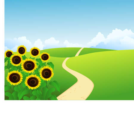 Vector landscape with sunflowersのイラスト素材