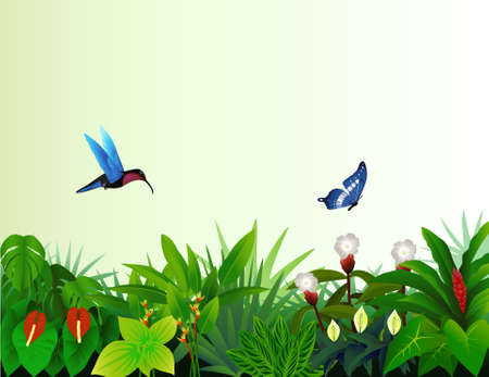 tropical forest backgroundのイラスト素材