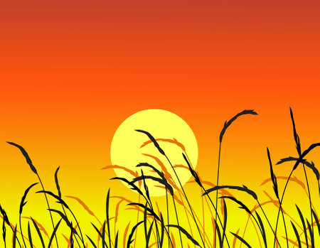 nature sunset backgroundのイラスト素材