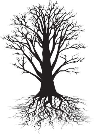 tree silhouetteのイラスト素材